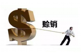 淮滨工资清欠服务